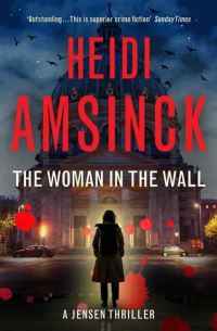Book Cover for The Woman in the Wall by Heidi Amsinck