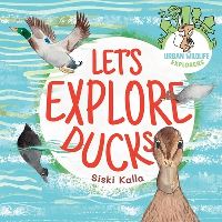 Book Cover for Let's Explore Ducks by Siski Kalla
