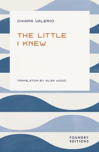 Book Cover for The Little I Knew by Chiara Valerio