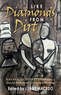 Book Cover for Like Diamonds from Dirt by Lynne Macedo