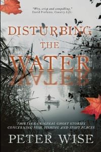 Book Cover for Disturbing the Water by Peter Wise