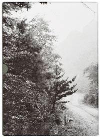 Book Cover for John Cage & William Gedney by John Cage, Alec Soth