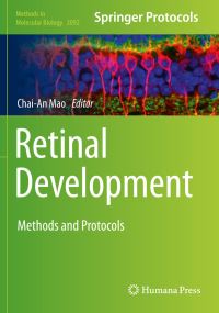 Book Cover for Retinal Development by ChaiAn Mao