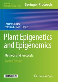 Book Cover for Plant Epigenetics and Epigenomics by Charlie Spillane, Peter C McKeown