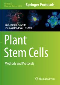 Book Cover for Plant Stem Cells by Muhammad Naseem, Thomas Dandekar