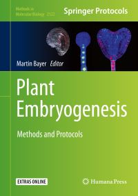 Book Cover for Plant Embryogenesis by Martin Bayer