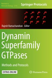 Book Cover for Dynamin Superfamily GTPases by Rajesh Ramachandran