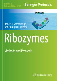 Book Cover for Ribozymes by Robert J Scarborough, Anne Gatignol