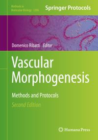 Book Cover for Vascular Morphogenesis by Domenico Ribatti