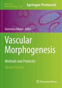 Book Cover for Vascular Morphogenesis by Domenico Ribatti