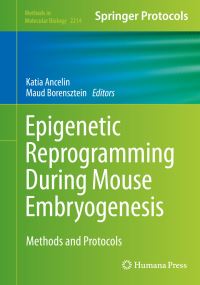 Book Cover for Epigenetic Reprogramming During Mouse Embryogenesis by Katia Ancelin, Maud Borensztein