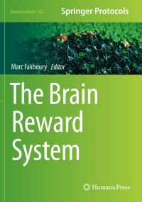 Book Cover for The Brain Reward System by Marc Fakhoury