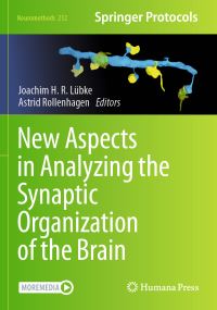 Book Cover for New Aspects in Analyzing the Synaptic Organization of the Brain by Joachim H R Lübke, Astrid Rollenhagen