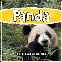 Book Cover for Panda by Bold Kids