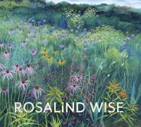 Book Cover for Rosalind Wise by Shawn Vandor