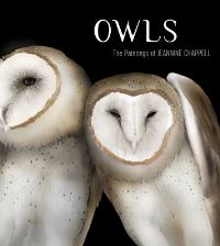 Book Cover for Owls by Jeannine Chappell