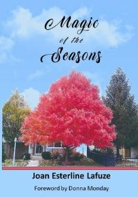 Book Cover for Magic of the Seasons by Joan Esterline Lafuze
