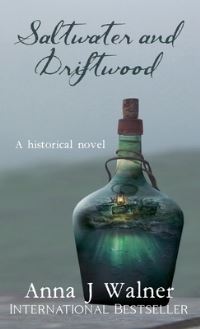 Book Cover for Saltwater and Driftwood by Anna J Walner
