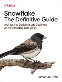 Book Cover for Snowflake by Joyce Kay Avila