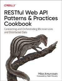 Book Cover for Restful Web API Patterns and Practices Cookbook by Michael Amundsen