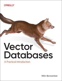 Book Cover for Vector Databases by Nitin Borwankar