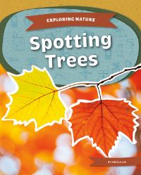 Book Cover for Spotting Trees by Angela Lim