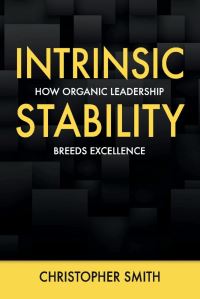 Book Cover for Intrinsic Stability by Christopher Smith