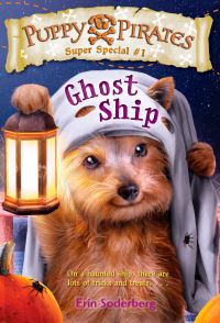 Book Cover for Ghost Ship by Erin Soderberg