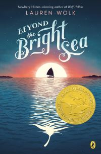 Book Cover for Beyond the Bright Sea by Lauren Wolk