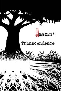Book Cover for Amazin' Transcendence by Jeremy Adams