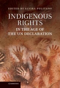 Book Cover for Indigenous Rights in the Age of the UN Declaration by Elvira Pulitano
