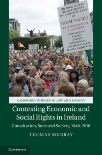 Book Cover for Contesting Economic and Social Rights in Ireland by Thomas P Murray