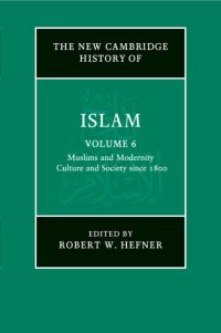 Book Cover for Muslims and Modernity by Robert W Hefner