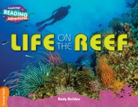 Book Cover for Life on the Reef by Andy Belcher