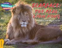 Book Cover for Scarface - The Real Lion King by Jonathan Scott, Angela Scott