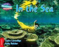 Book Cover for In the Sea by Andy Belcher
