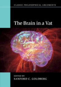 Book Cover for The Brain in a Vat by Sanford Goldberg