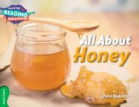 Book Cover for All About Honey by Lynne Rickards, Sue Bodman, Glen Franklin