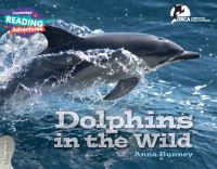 Book Cover for Dolphins in the Wild by Anna Bunney