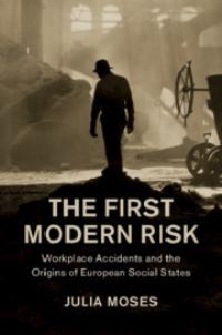 Book Cover for The First Modern Risk by Julia Moses