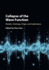 Book Cover for Collapse of the Wave Function by Shan Gao