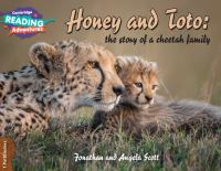 Book Cover for Honey and Toto 1 by Jonathan Scott, Angela Scott