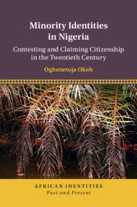 Book Cover for Minority Identities in Nigeria by Oghenetoja Okoh