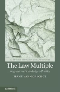 Book Cover for The Law Multiple by Irene van Oorschot