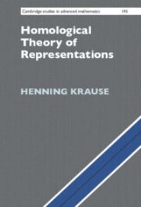 Book Cover for Homological Theory of Representations by Henning Krause