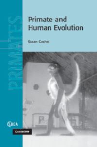 Book Cover for Primate and Human Evolution by Susan Cachel