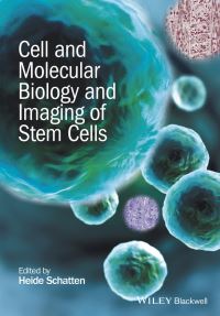 Book Cover for Cell and Molecular Biology and Imaging of Stem Cells by Heide Schatten