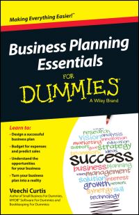 Book Cover for Business Planning Essentials for Dummies by Veechi Curtis