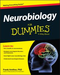 Book Cover for Neurobiology for Dummies by Frank Amthor