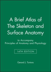Book Cover for A Brief Atlas of the Skeleton and Surface Anatomy by Gerard J Tortora